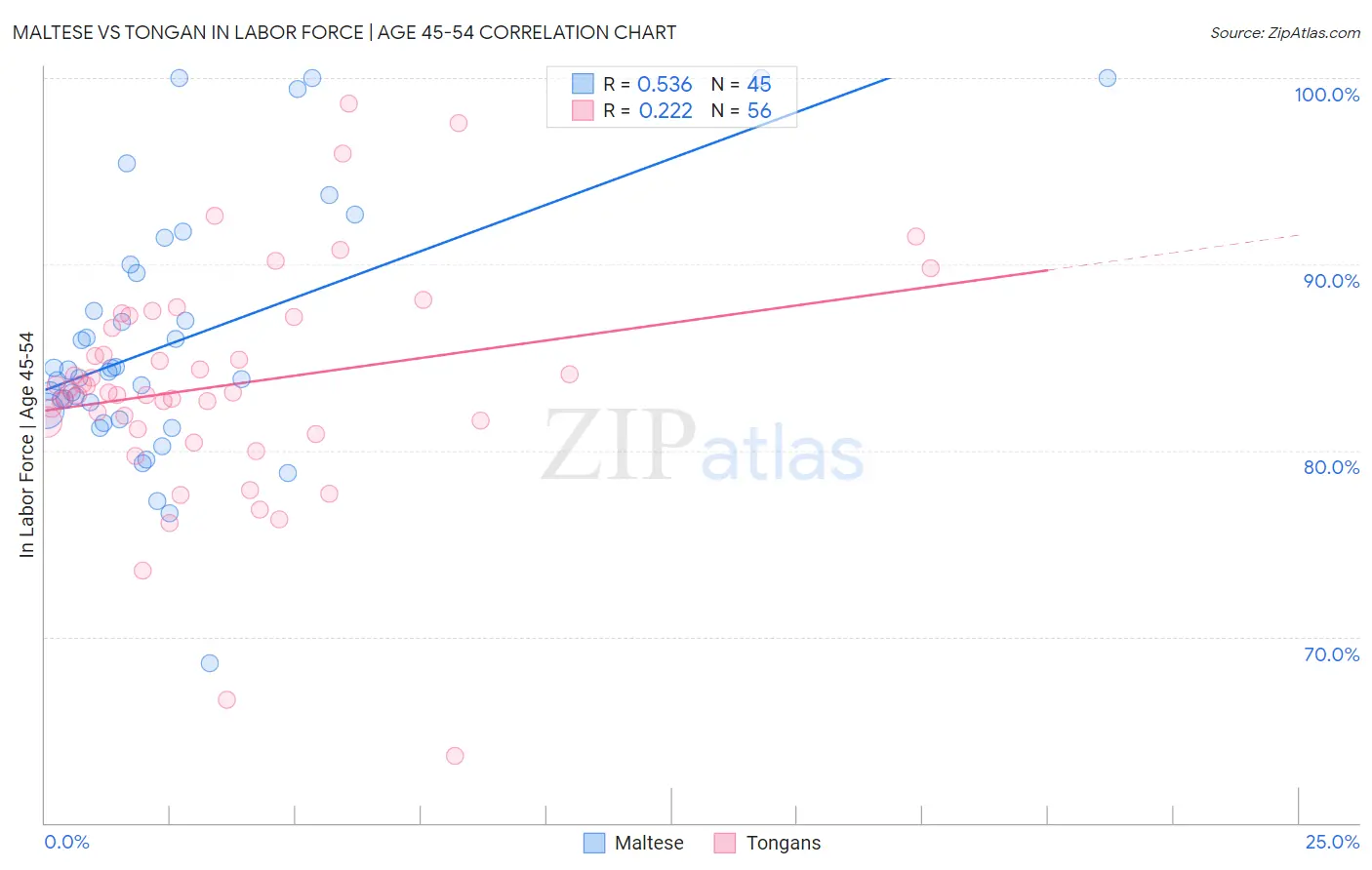 Maltese vs Tongan In Labor Force | Age 45-54