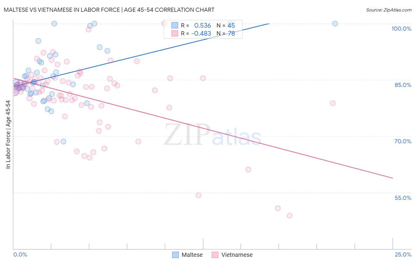 Maltese vs Vietnamese In Labor Force | Age 45-54
