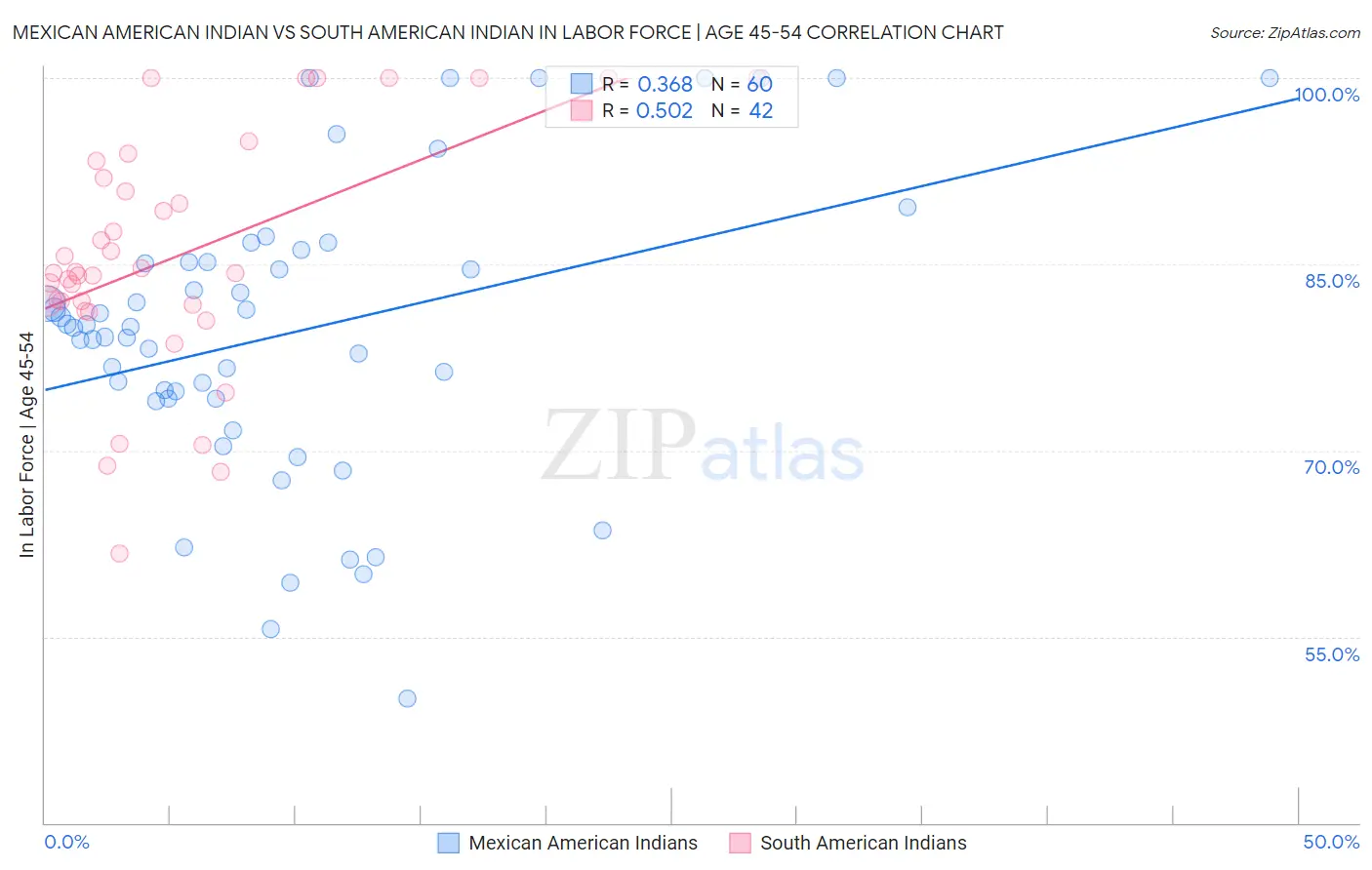 Mexican American Indian vs South American Indian In Labor Force | Age 45-54