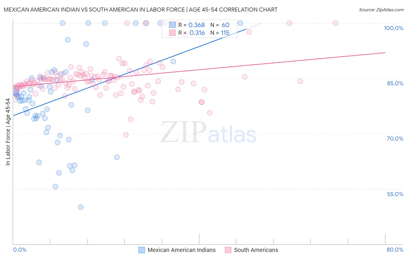 Mexican American Indian vs South American In Labor Force | Age 45-54