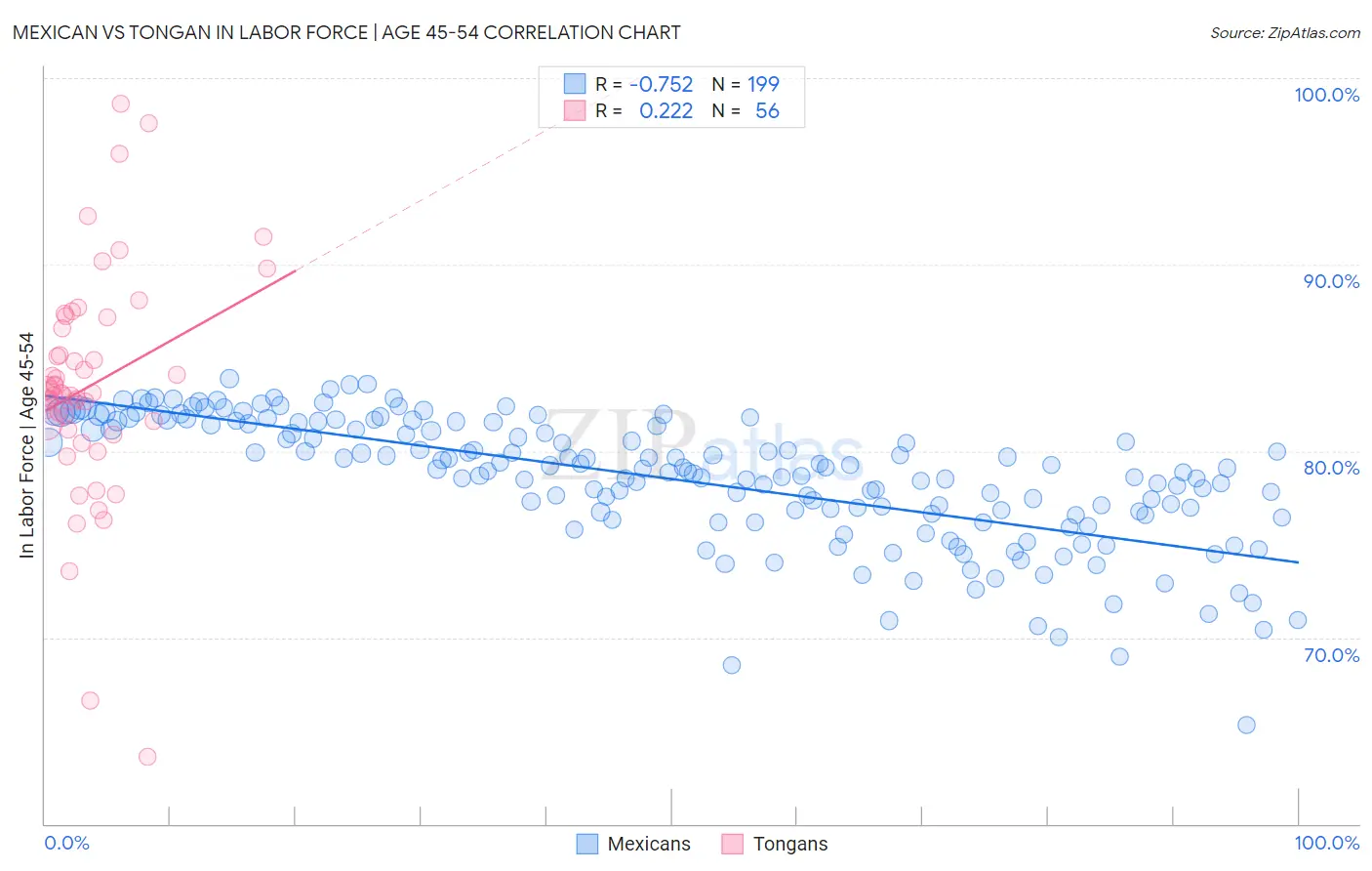 Mexican vs Tongan In Labor Force | Age 45-54