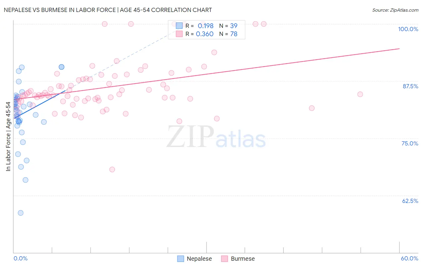 Nepalese vs Burmese In Labor Force | Age 45-54