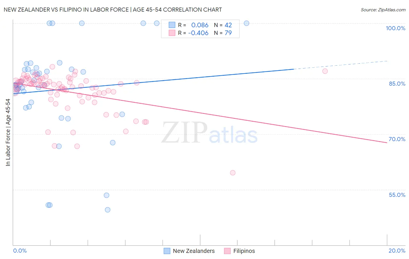 New Zealander vs Filipino In Labor Force | Age 45-54