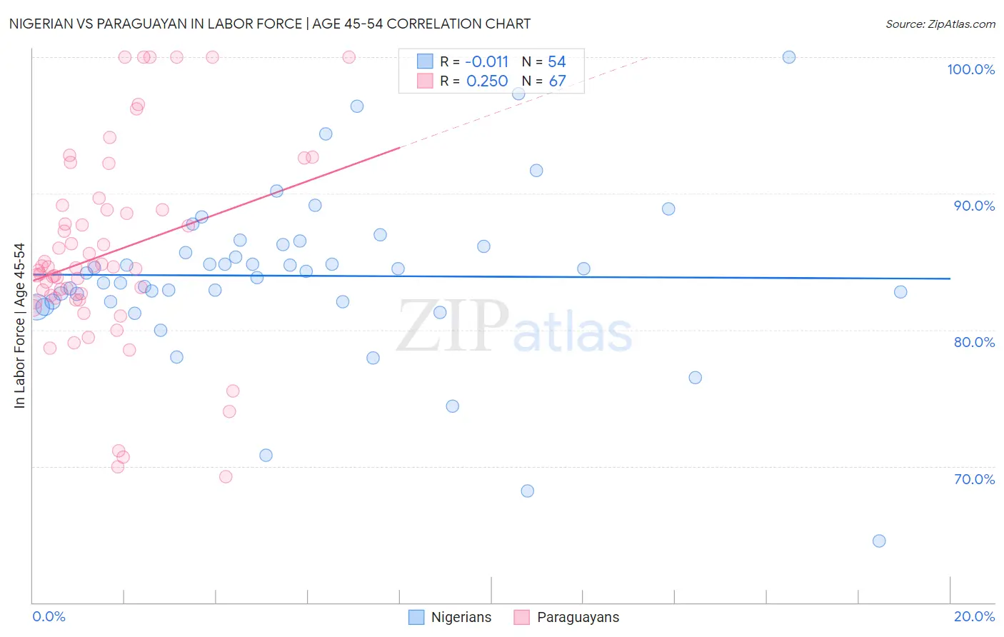 Nigerian vs Paraguayan In Labor Force | Age 45-54