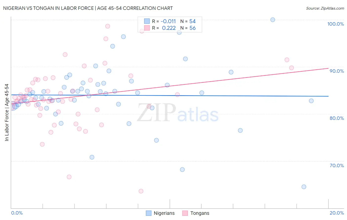 Nigerian vs Tongan In Labor Force | Age 45-54