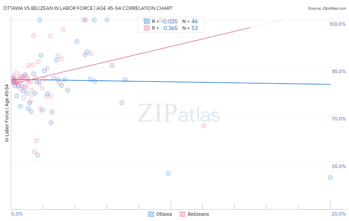 Ottawa vs Belizean In Labor Force | Age 45-54