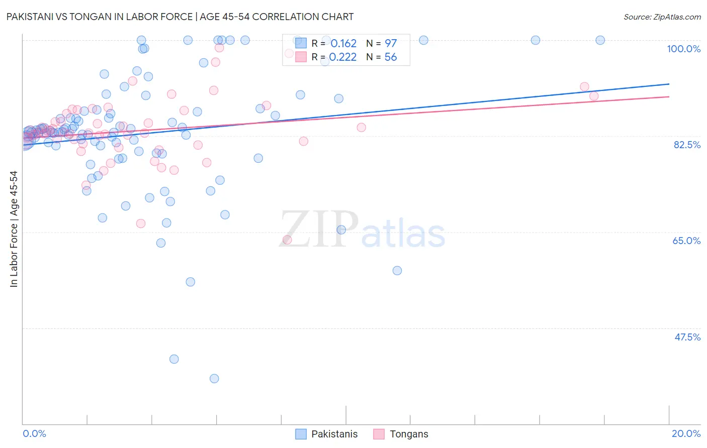Pakistani vs Tongan In Labor Force | Age 45-54