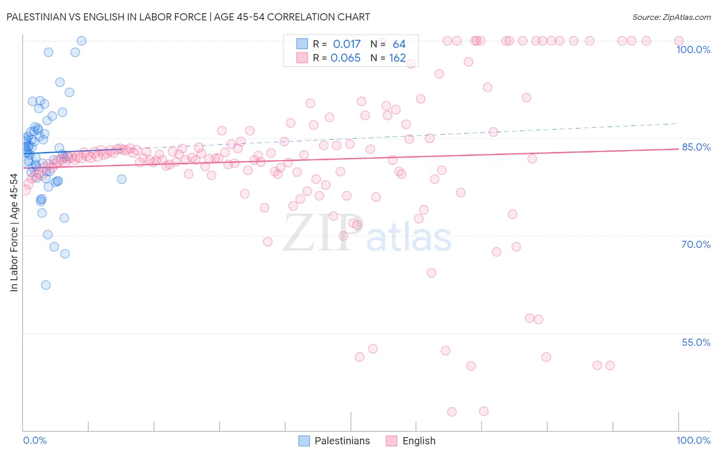 Palestinian vs English In Labor Force | Age 45-54