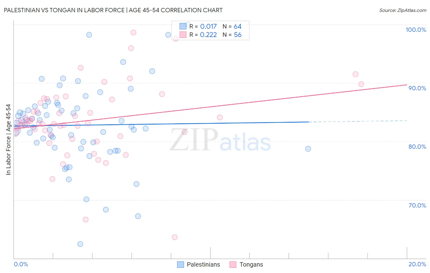 Palestinian vs Tongan In Labor Force | Age 45-54
