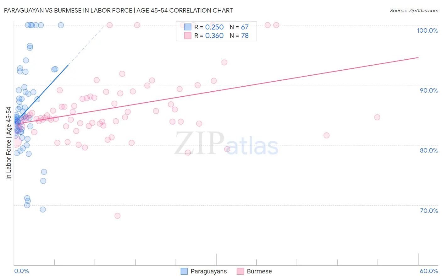 Paraguayan vs Burmese In Labor Force | Age 45-54