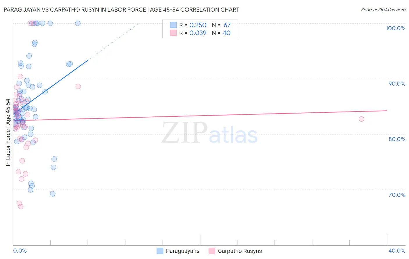 Paraguayan vs Carpatho Rusyn In Labor Force | Age 45-54