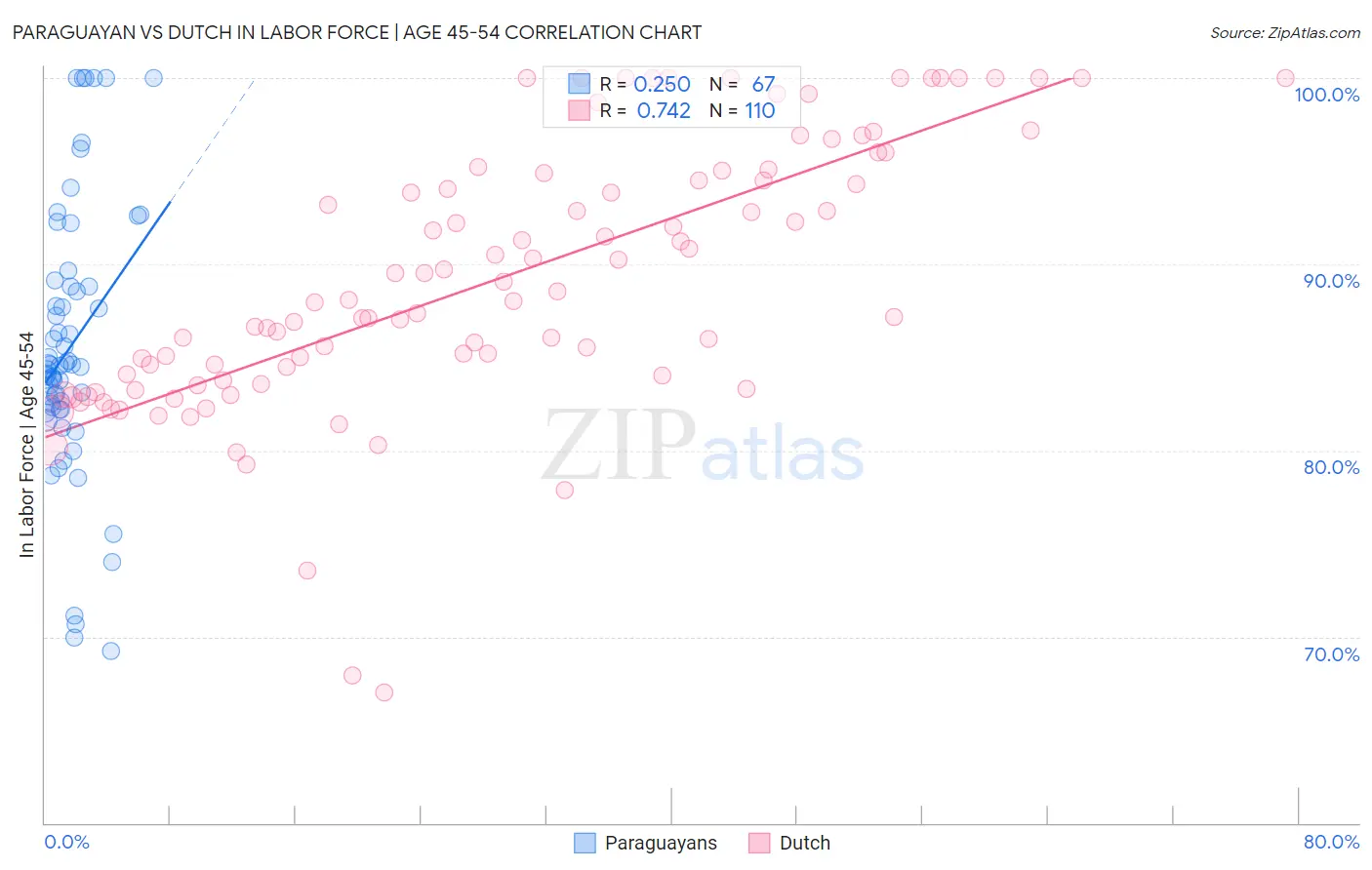 Paraguayan vs Dutch In Labor Force | Age 45-54