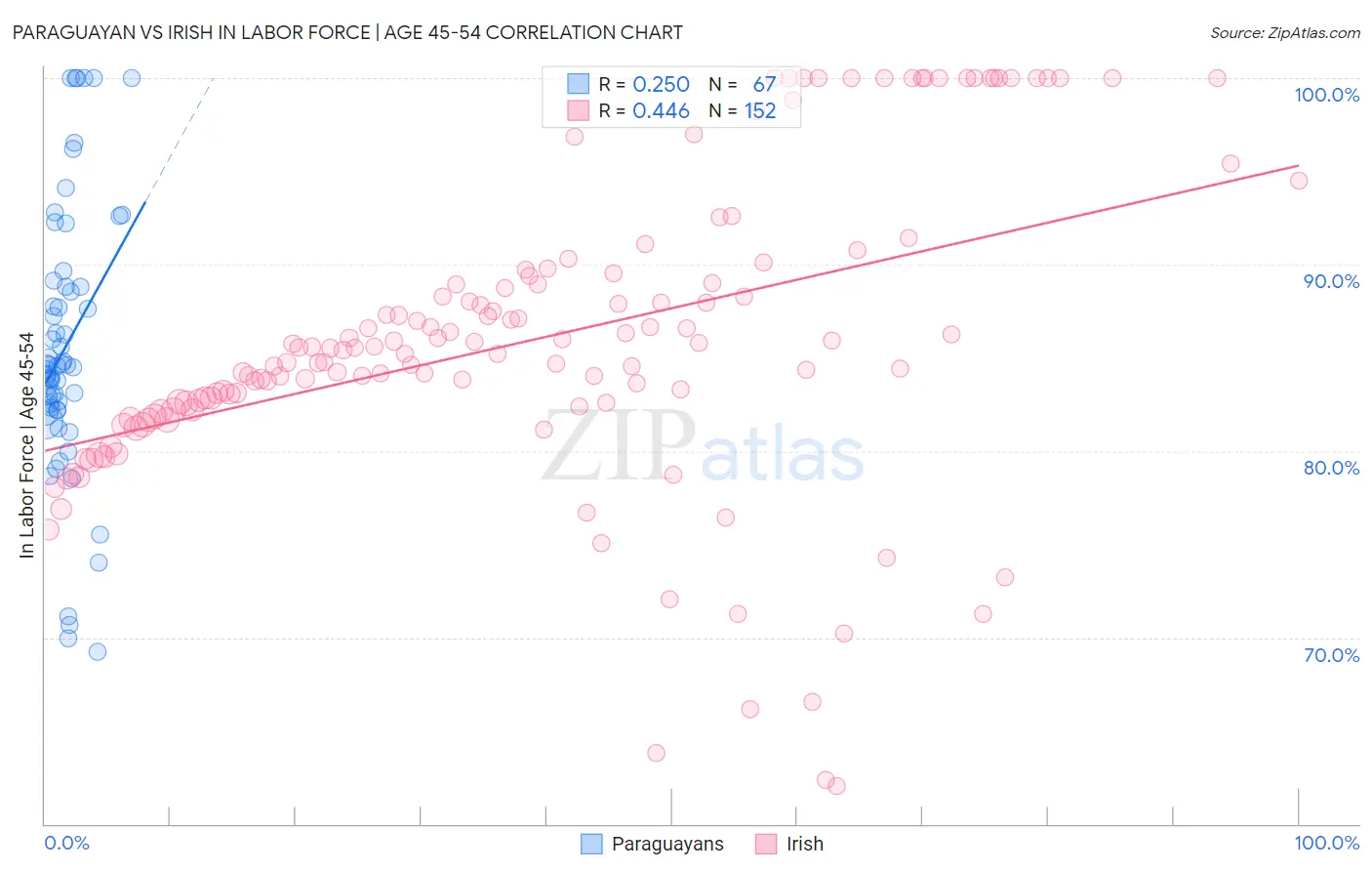 Paraguayan vs Irish In Labor Force | Age 45-54