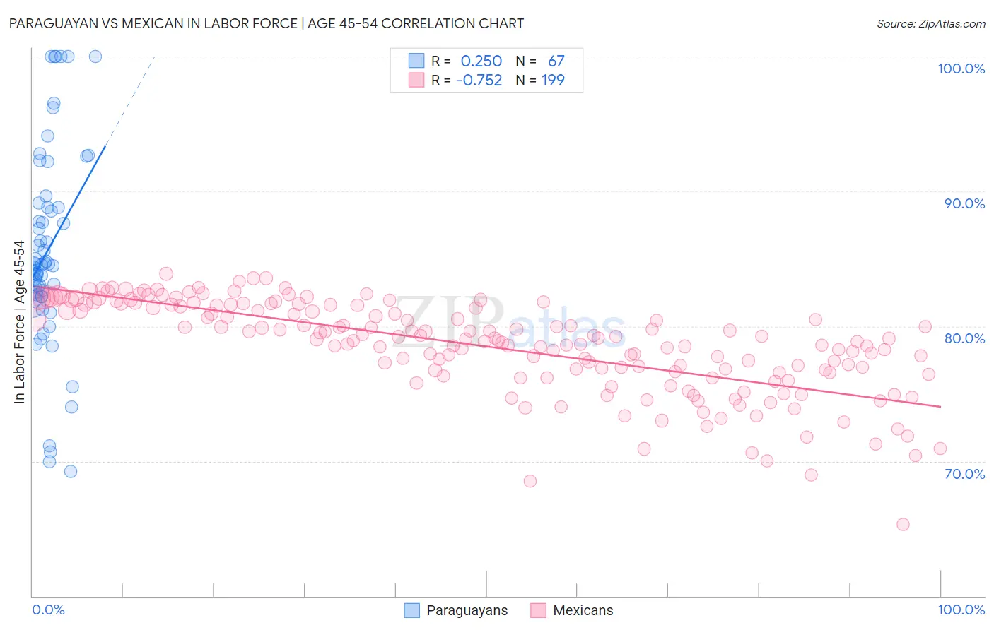 Paraguayan vs Mexican In Labor Force | Age 45-54