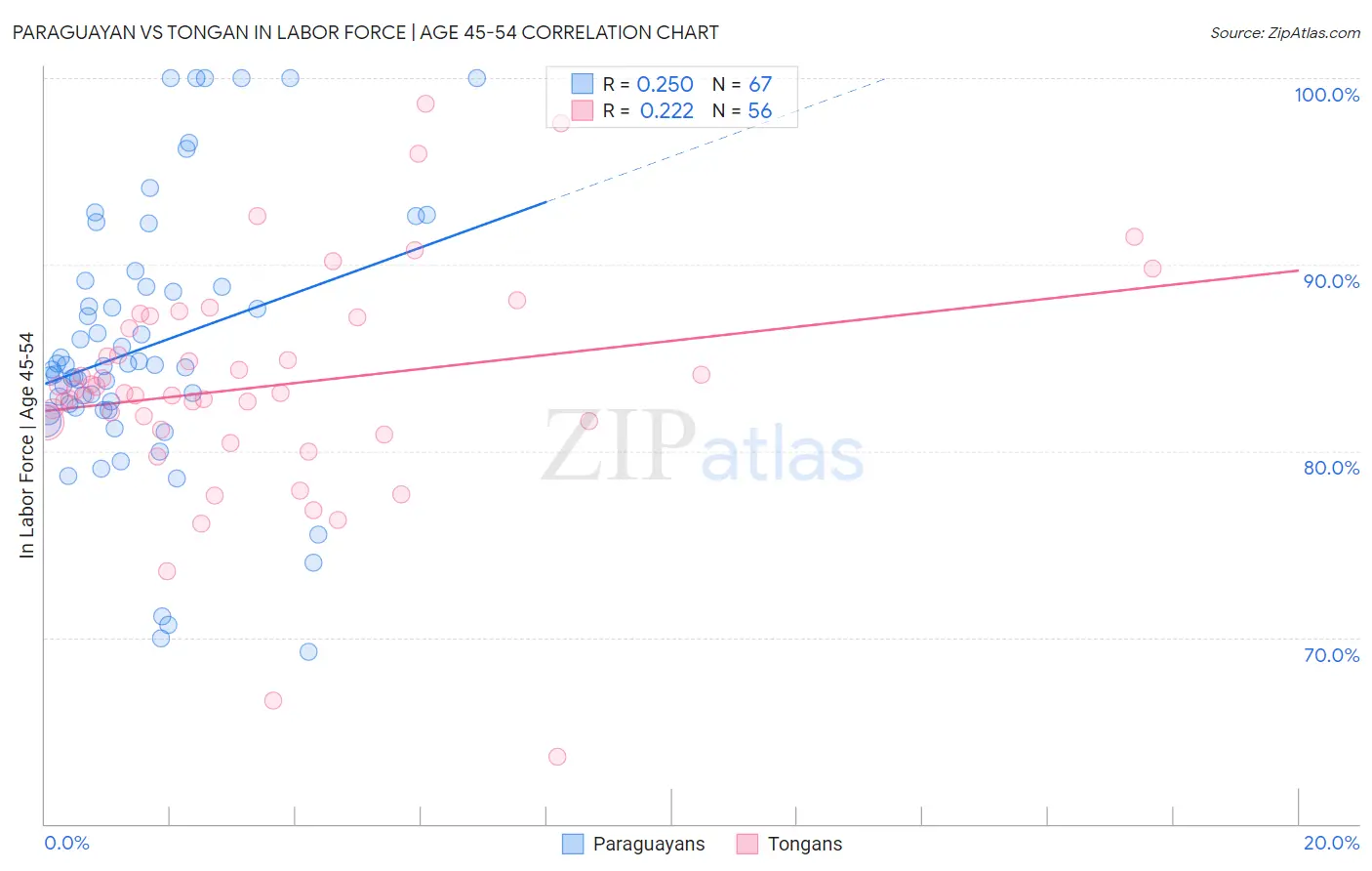 Paraguayan vs Tongan In Labor Force | Age 45-54