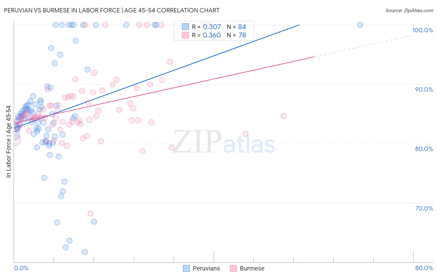 Peruvian vs Burmese In Labor Force | Age 45-54