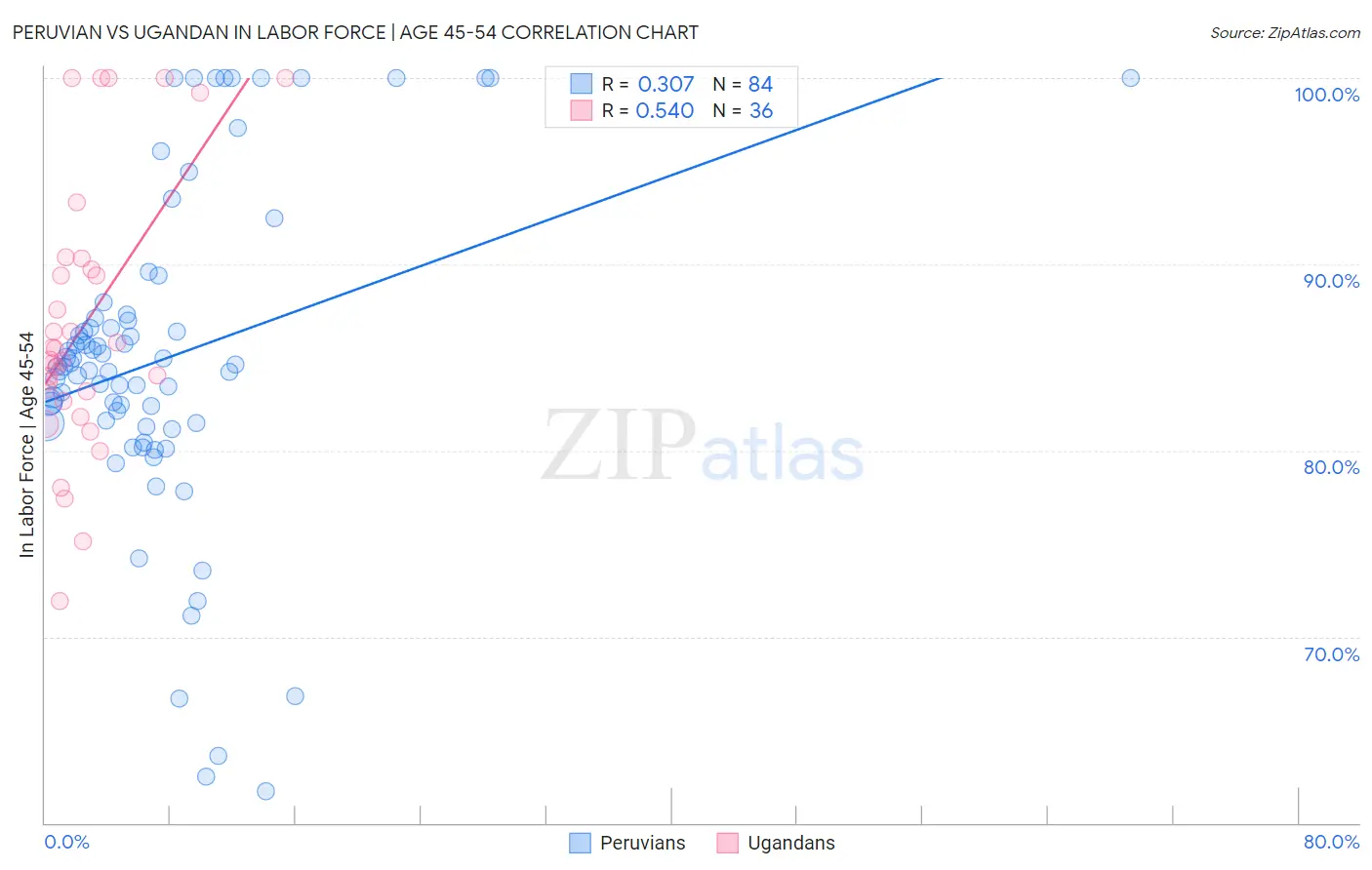 Peruvian vs Ugandan In Labor Force | Age 45-54