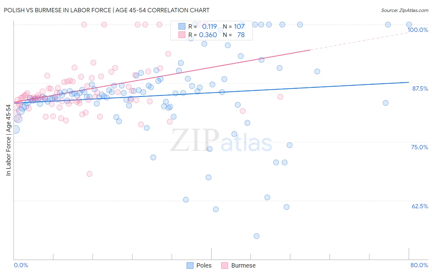 Polish vs Burmese In Labor Force | Age 45-54