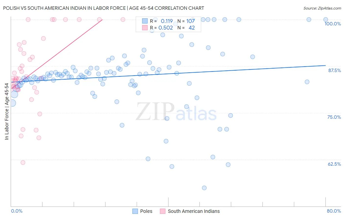 Polish vs South American Indian In Labor Force | Age 45-54