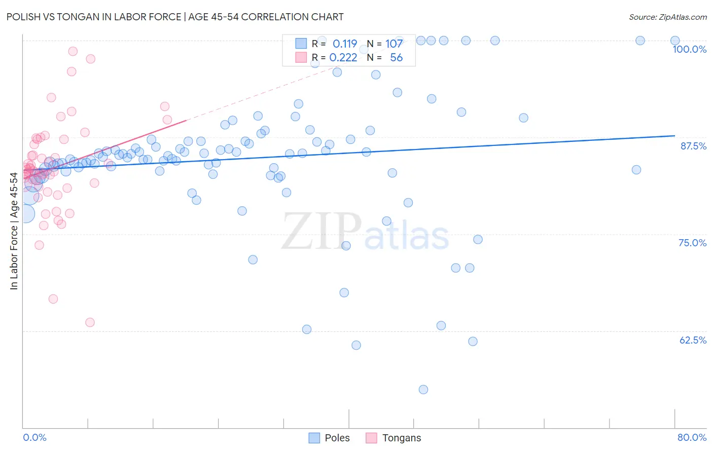 Polish vs Tongan In Labor Force | Age 45-54