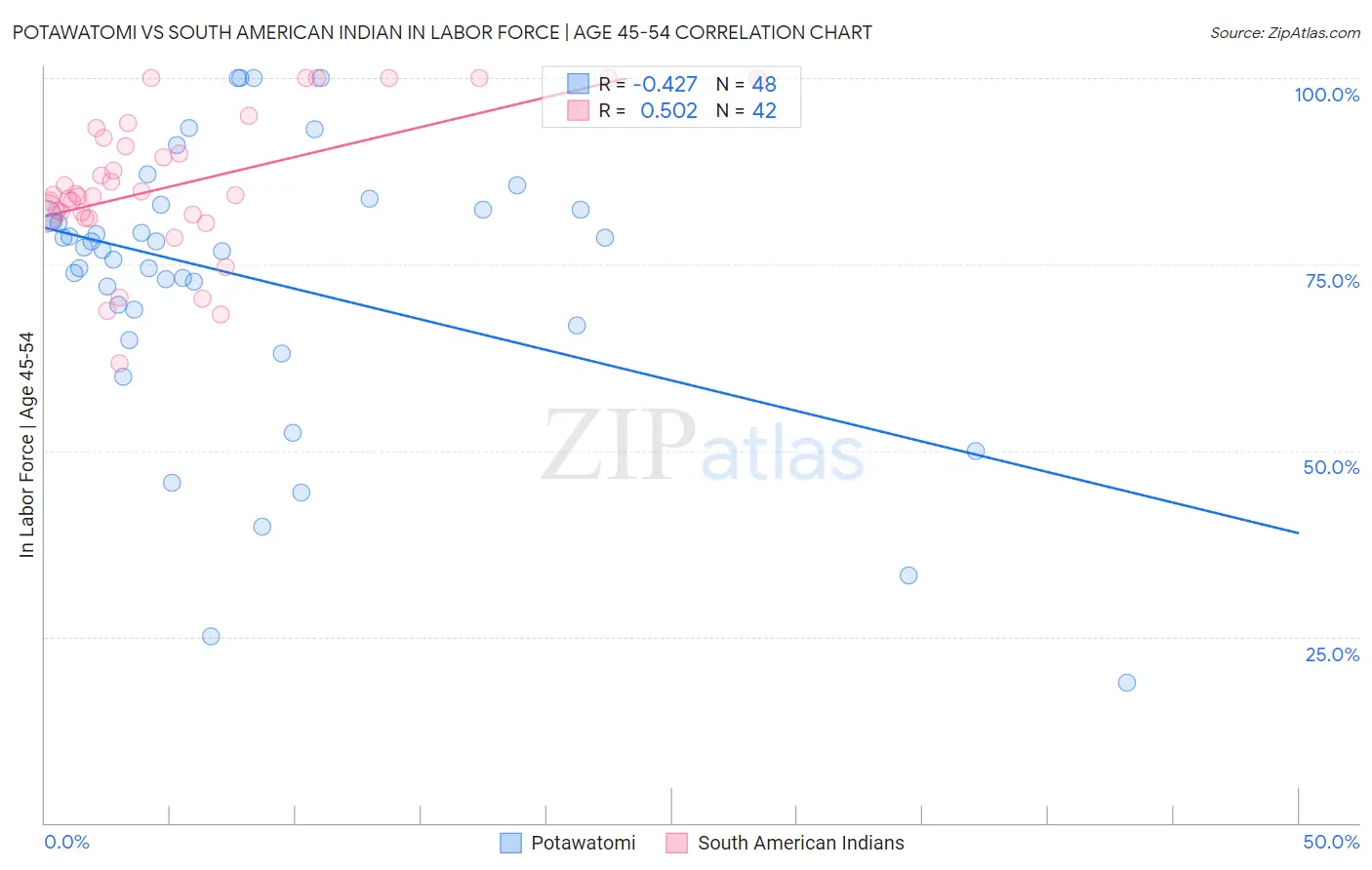 Potawatomi vs South American Indian In Labor Force | Age 45-54