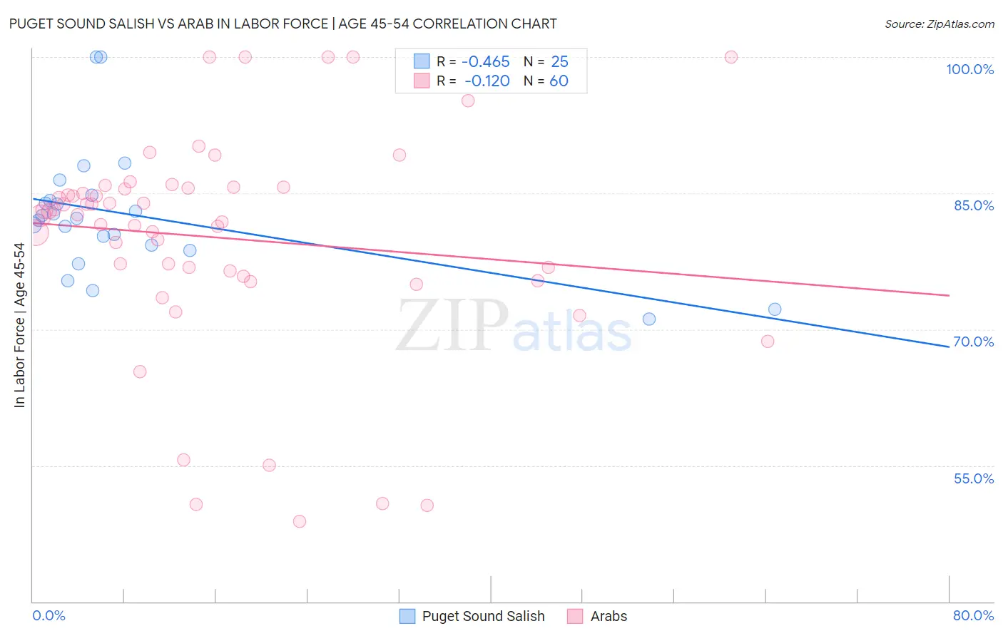 Puget Sound Salish vs Arab In Labor Force | Age 45-54