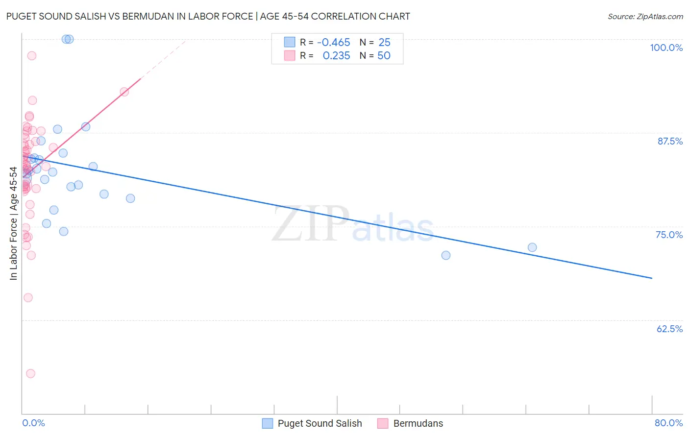 Puget Sound Salish vs Bermudan In Labor Force | Age 45-54