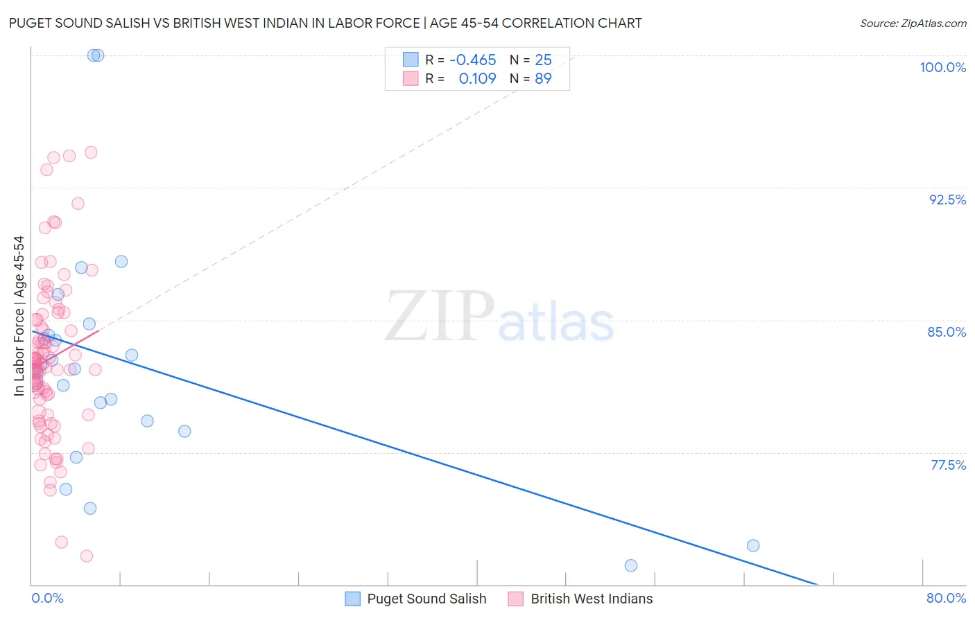 Puget Sound Salish vs British West Indian In Labor Force | Age 45-54