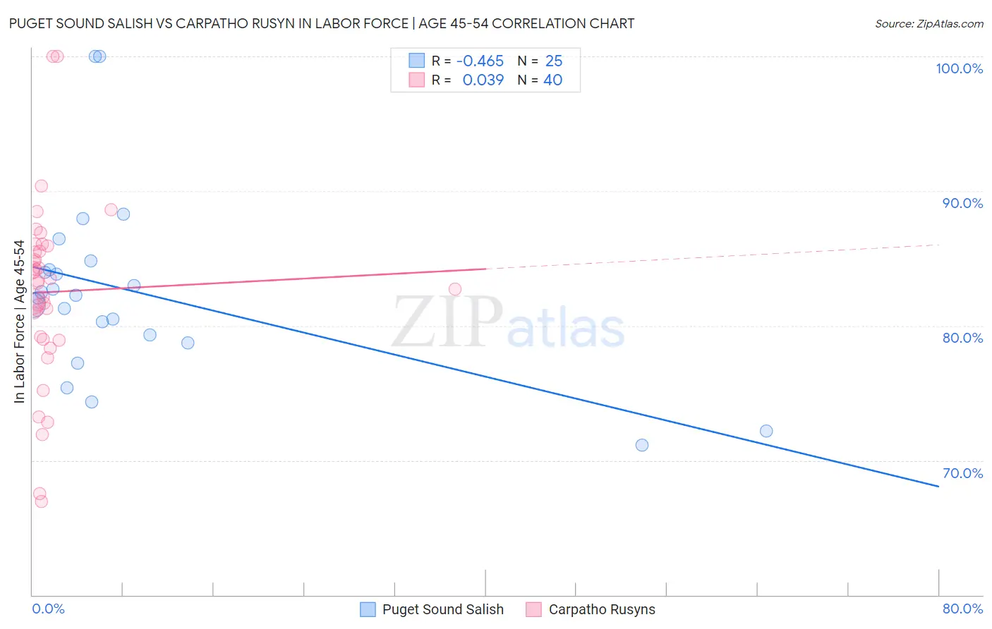 Puget Sound Salish vs Carpatho Rusyn In Labor Force | Age 45-54
