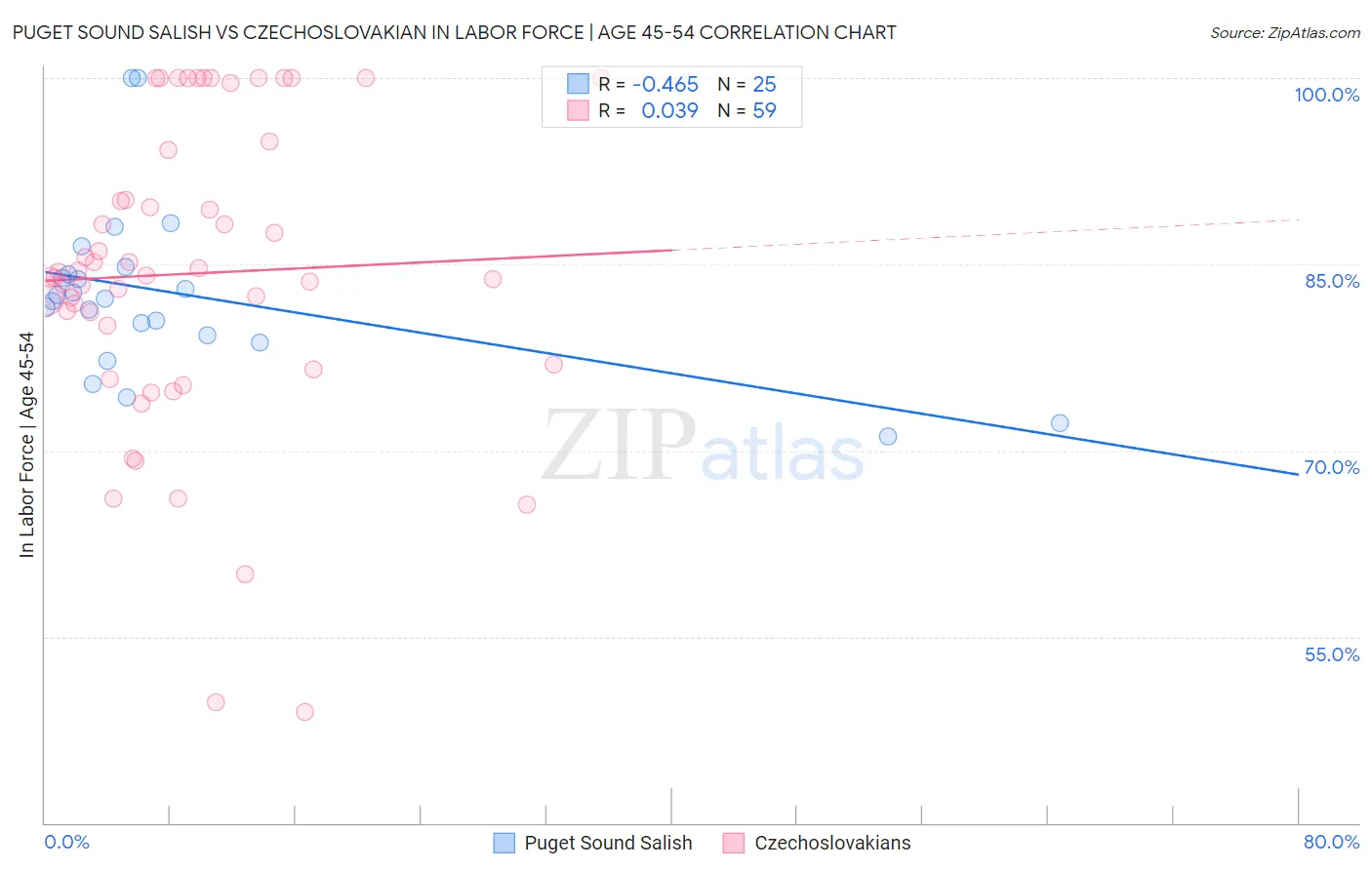 Puget Sound Salish vs Czechoslovakian In Labor Force | Age 45-54