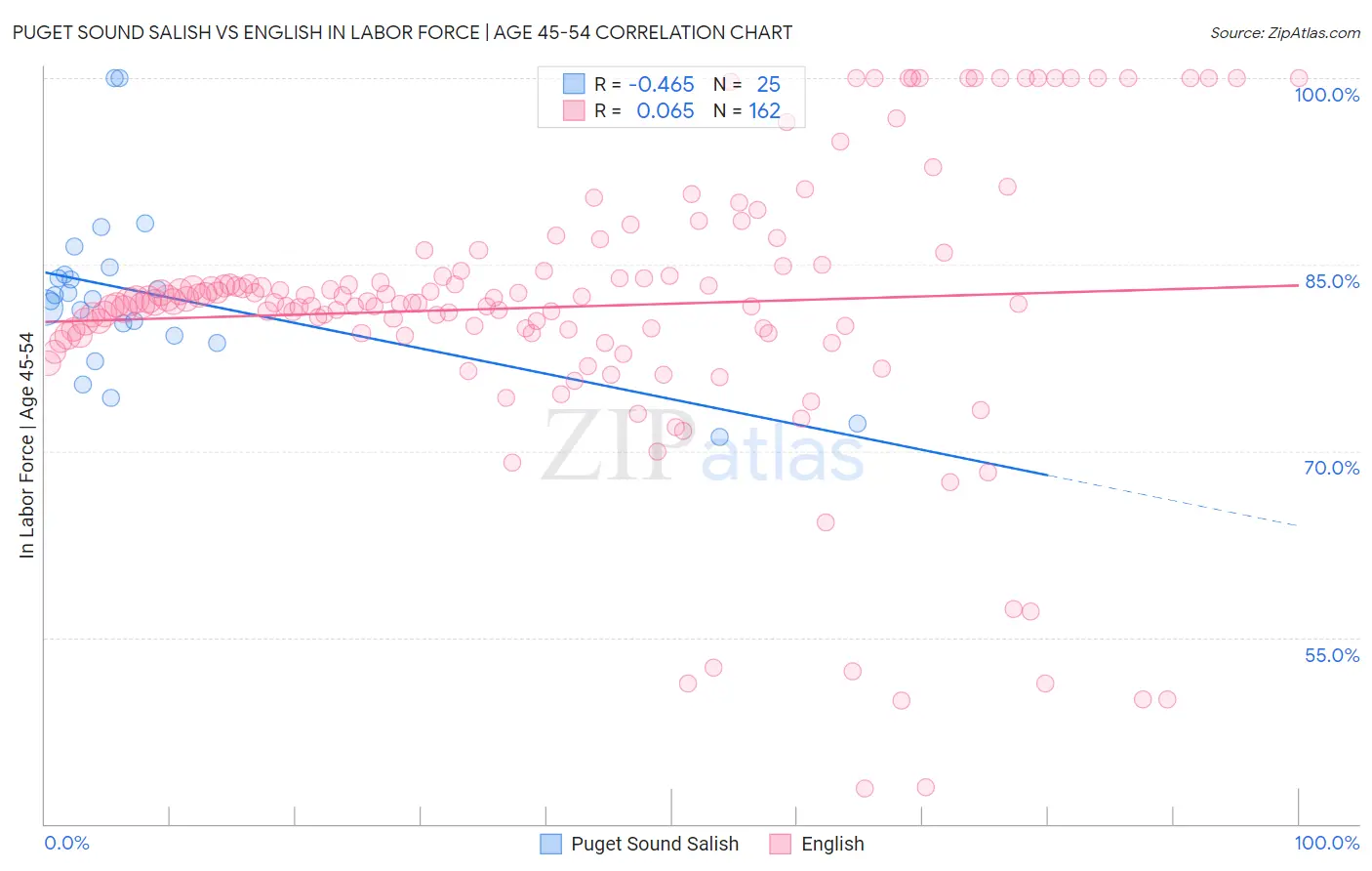 Puget Sound Salish vs English In Labor Force | Age 45-54