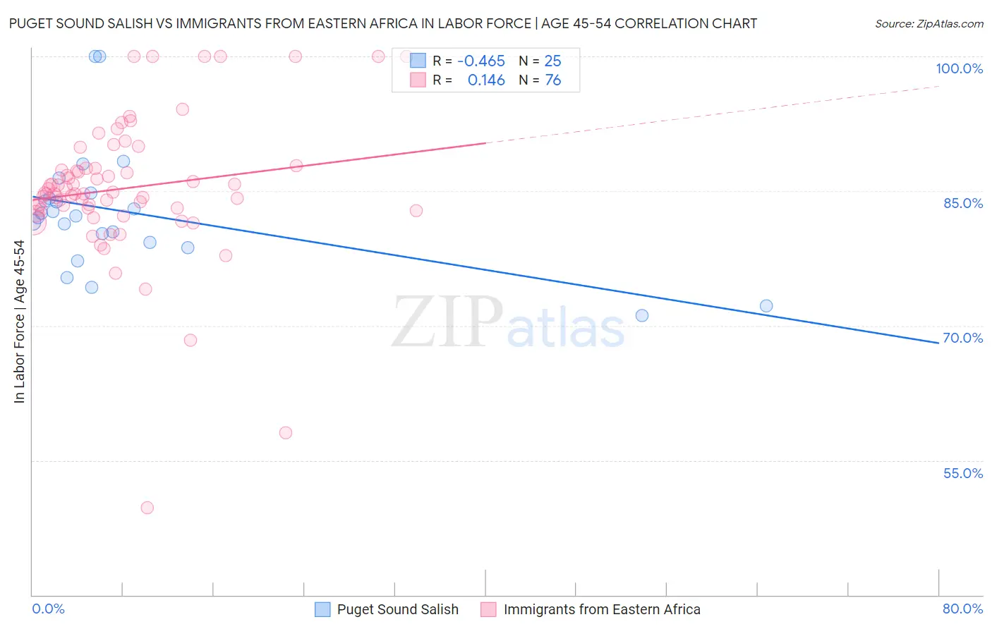 Puget Sound Salish vs Immigrants from Eastern Africa In Labor Force | Age 45-54