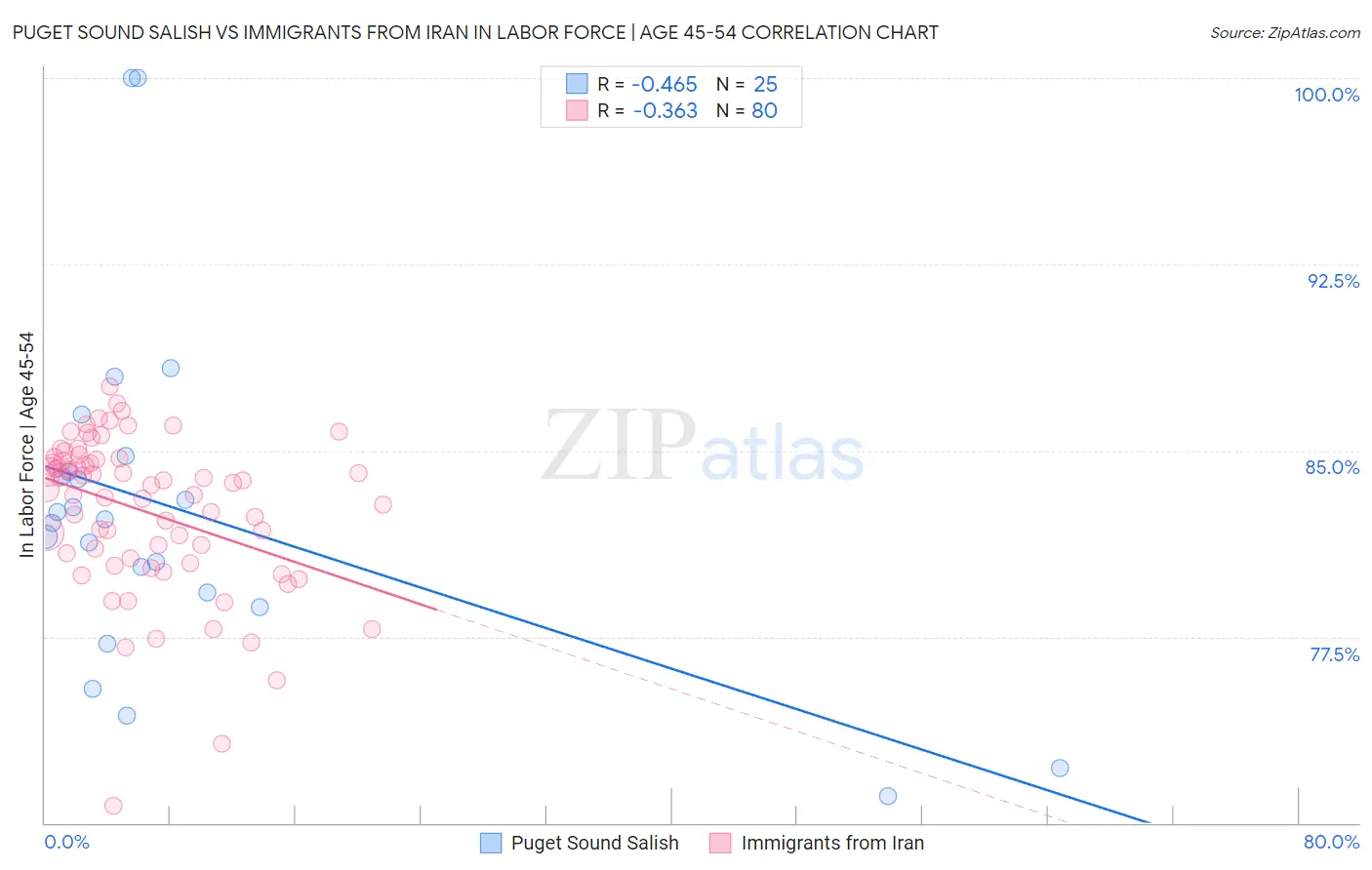 Puget Sound Salish vs Immigrants from Iran In Labor Force | Age 45-54
