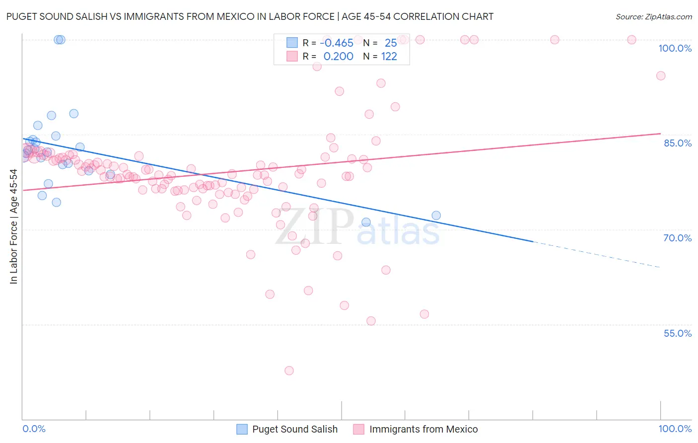 Puget Sound Salish vs Immigrants from Mexico In Labor Force | Age 45-54
