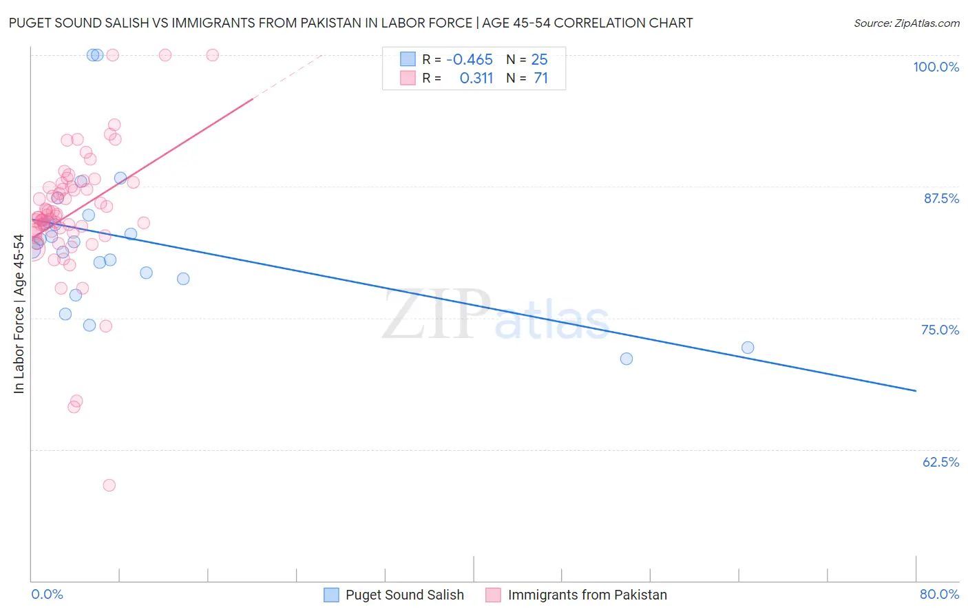 Puget Sound Salish vs Immigrants from Pakistan In Labor Force | Age 45-54