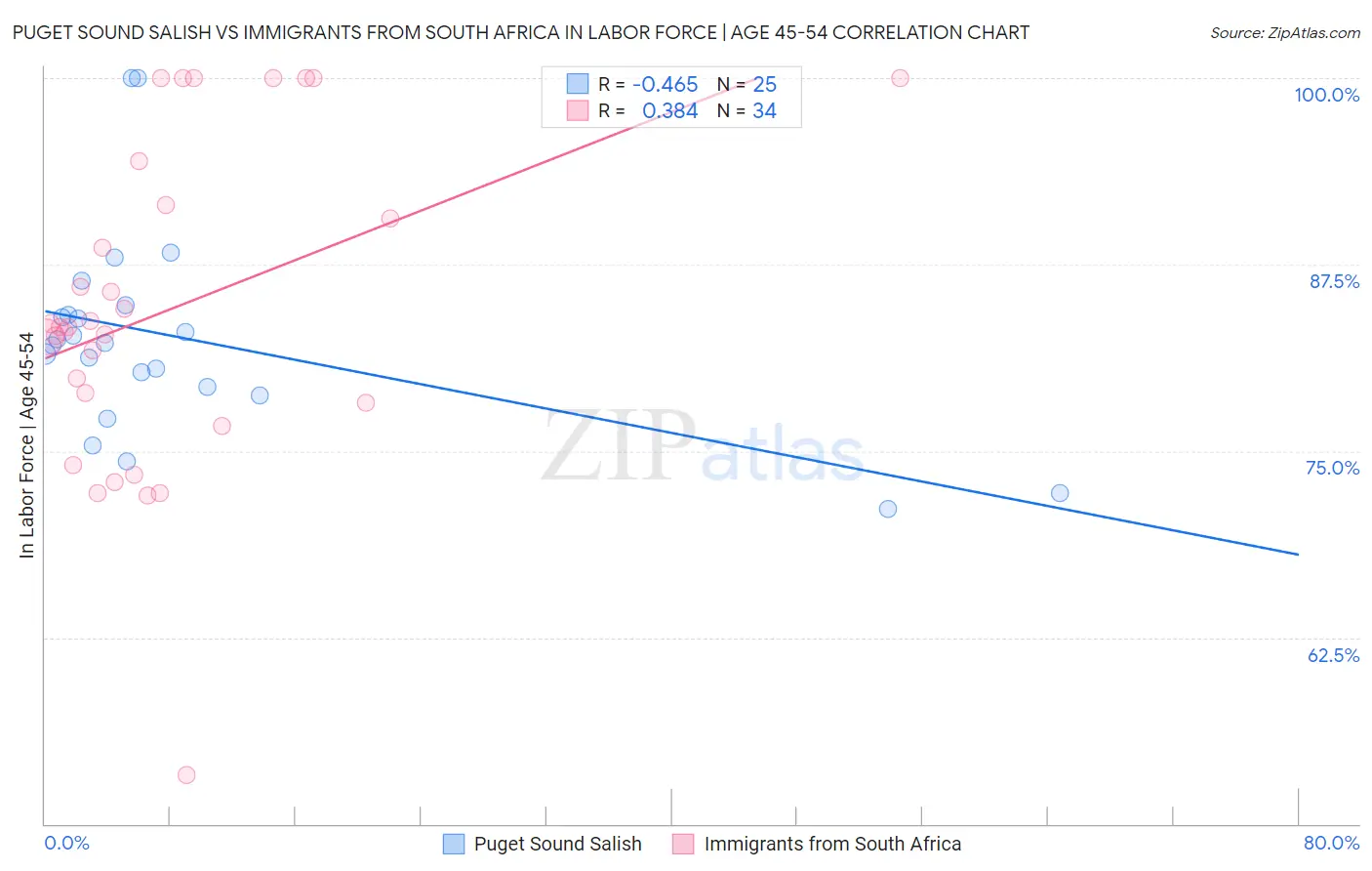 Puget Sound Salish vs Immigrants from South Africa In Labor Force | Age 45-54