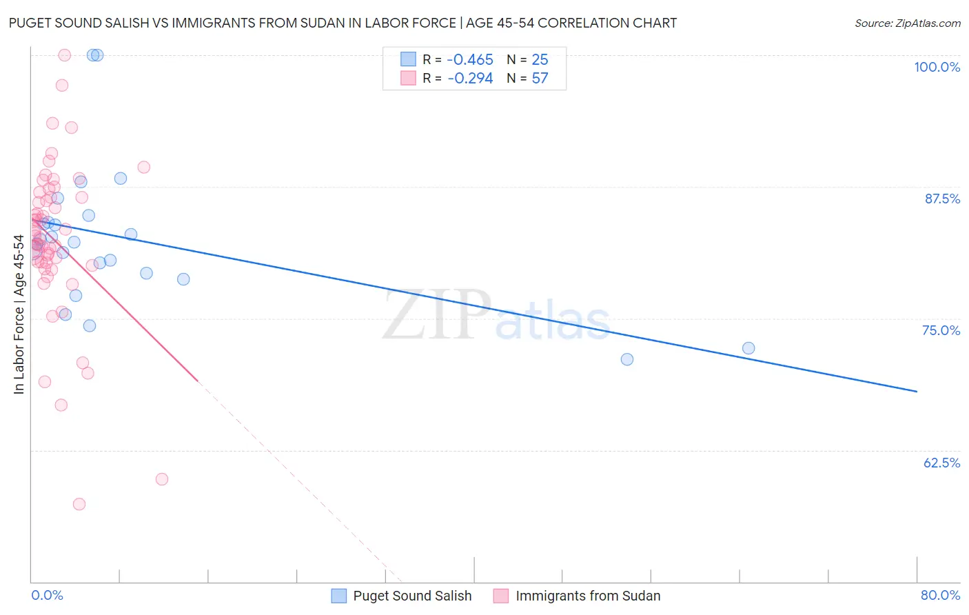 Puget Sound Salish vs Immigrants from Sudan In Labor Force | Age 45-54