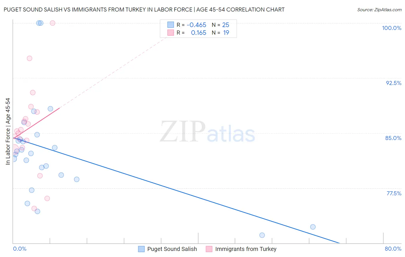 Puget Sound Salish vs Immigrants from Turkey In Labor Force | Age 45-54