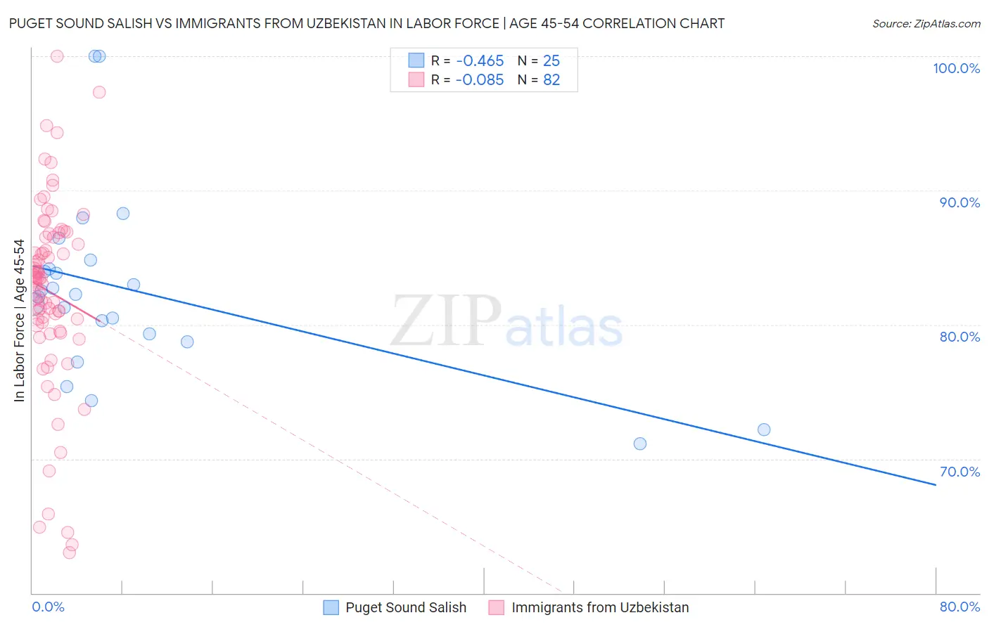 Puget Sound Salish vs Immigrants from Uzbekistan In Labor Force | Age 45-54