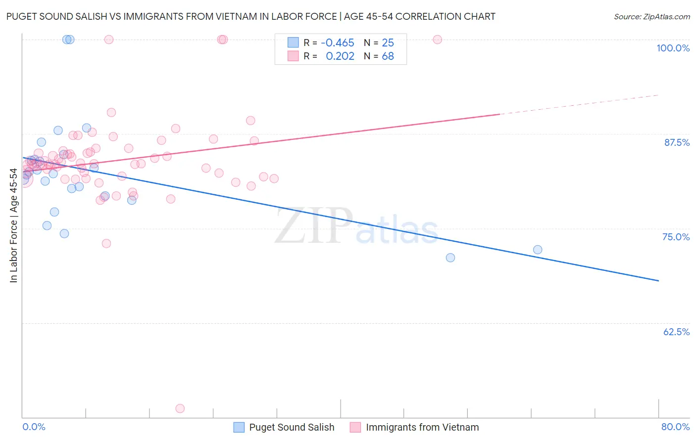 Puget Sound Salish vs Immigrants from Vietnam In Labor Force | Age 45-54