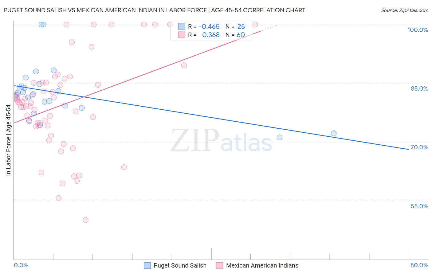 Puget Sound Salish vs Mexican American Indian In Labor Force | Age 45-54