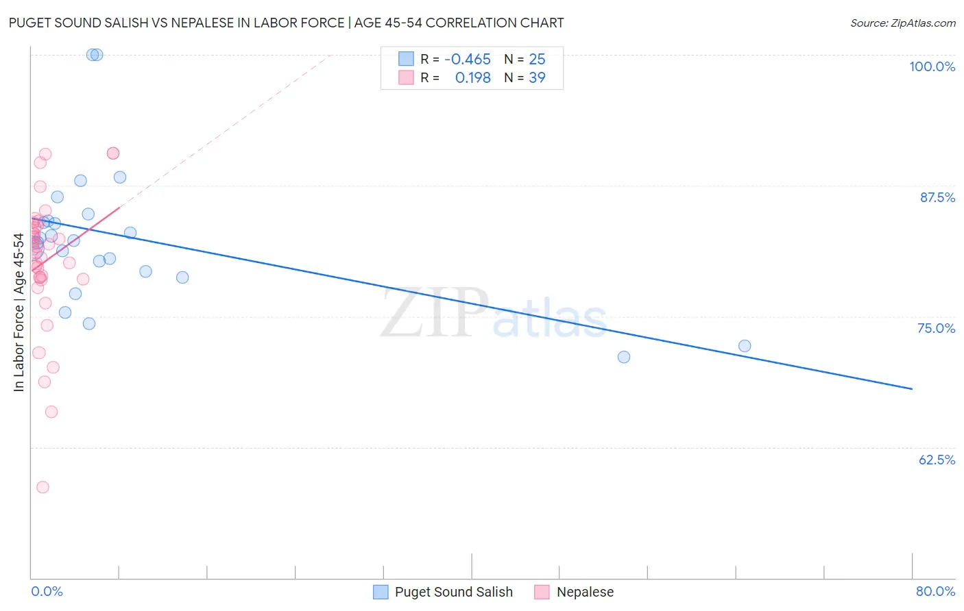 Puget Sound Salish vs Nepalese In Labor Force | Age 45-54