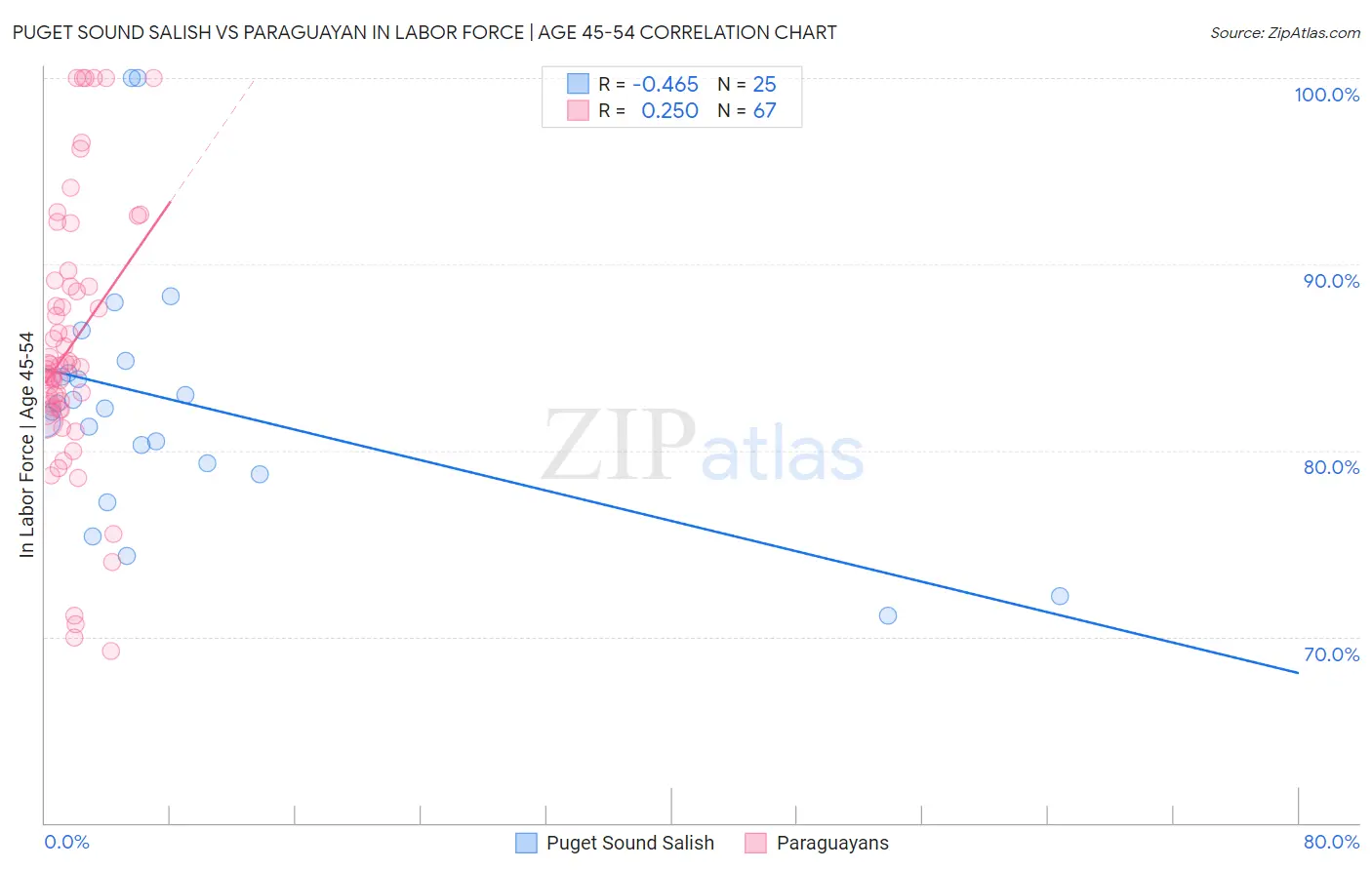 Puget Sound Salish vs Paraguayan In Labor Force | Age 45-54