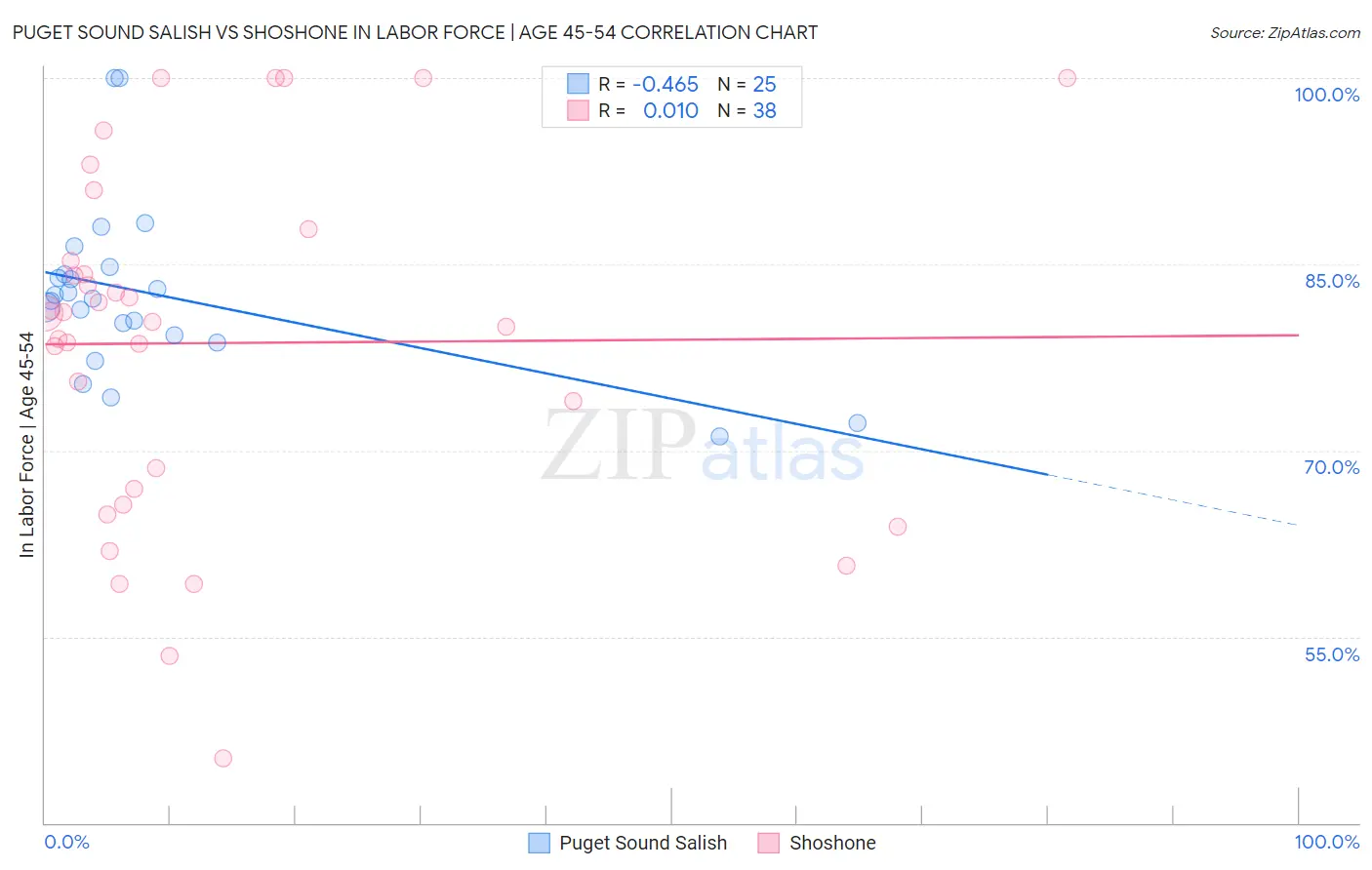 Puget Sound Salish vs Shoshone In Labor Force | Age 45-54