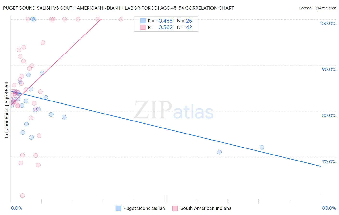 Puget Sound Salish vs South American Indian In Labor Force | Age 45-54