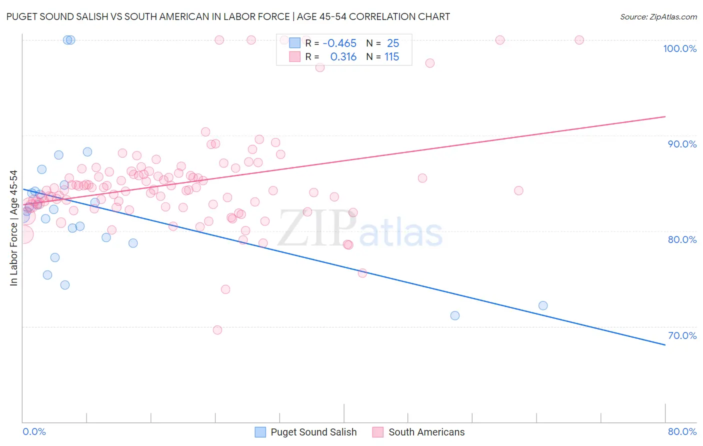 Puget Sound Salish vs South American In Labor Force | Age 45-54