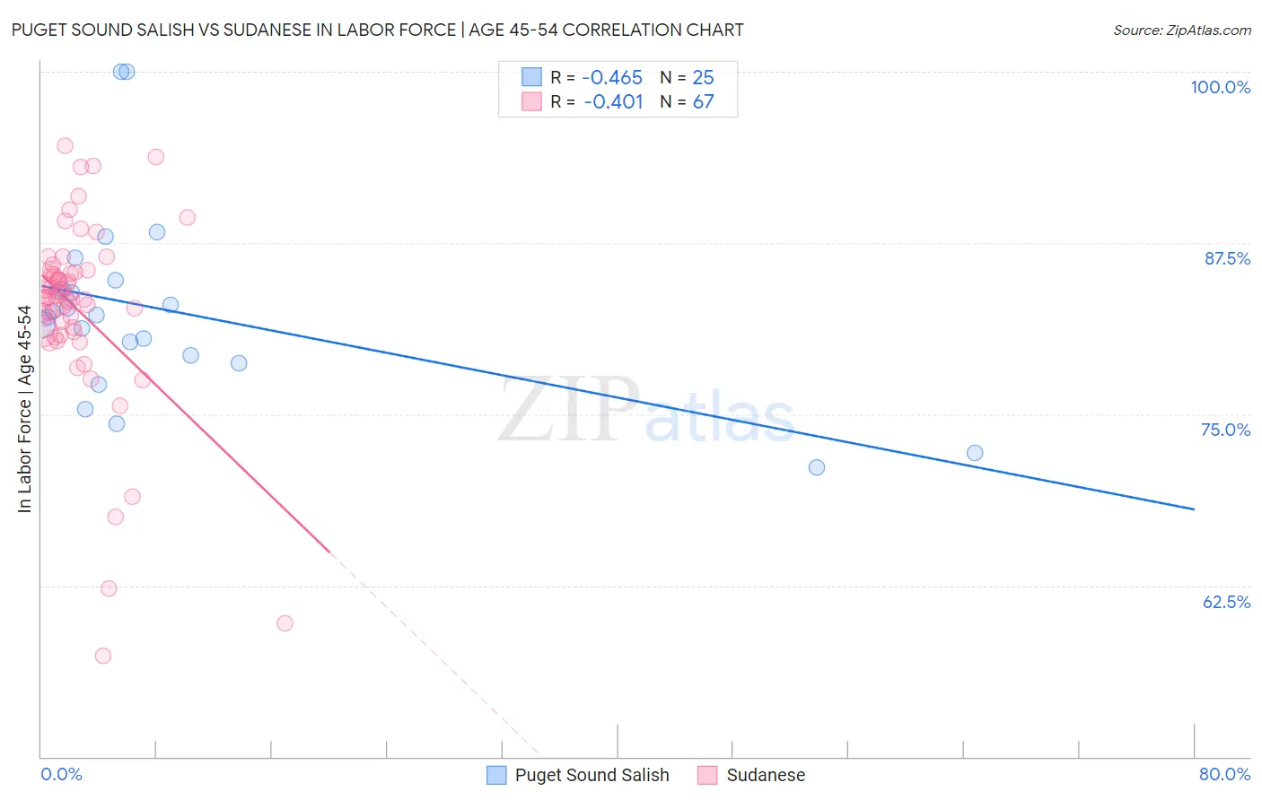 Puget Sound Salish vs Sudanese In Labor Force | Age 45-54