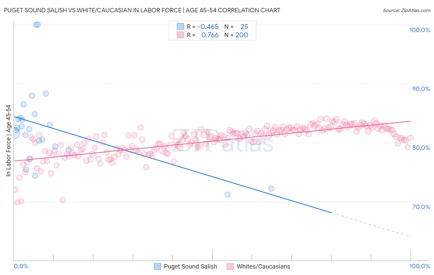 Puget Sound Salish vs White/Caucasian In Labor Force | Age 45-54