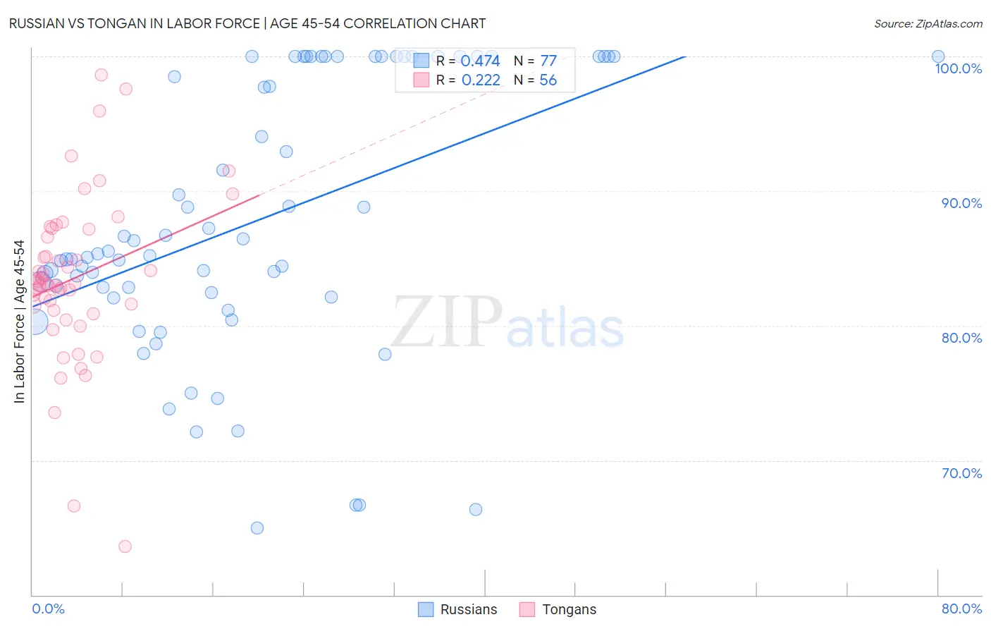 Russian vs Tongan In Labor Force | Age 45-54