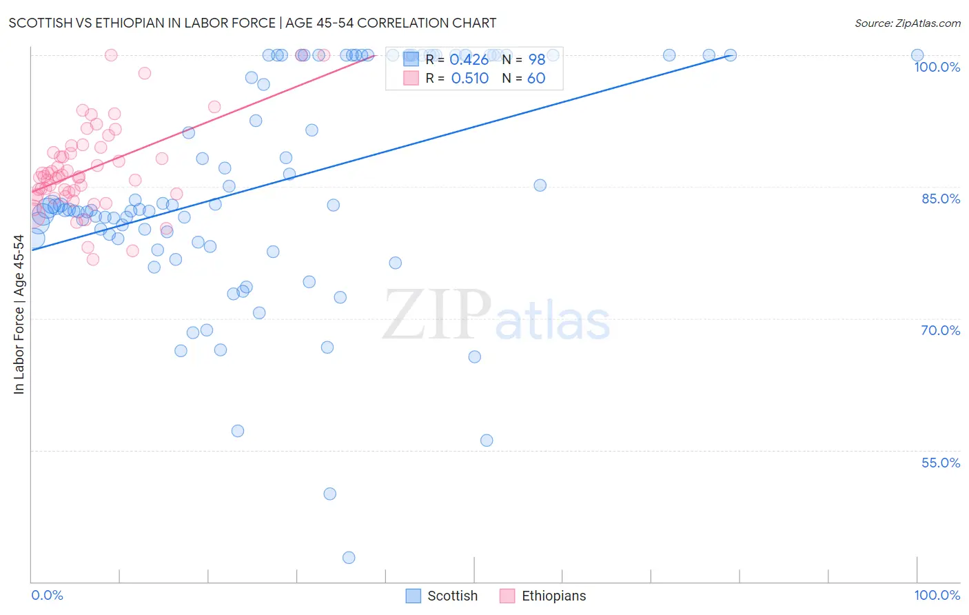 Scottish vs Ethiopian In Labor Force | Age 45-54